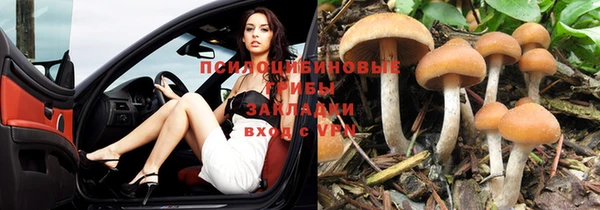 метамфетамин Алексин