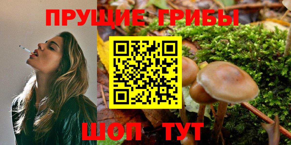 Галлюциногенные грибы прущие грибы  Вход с VPN  Псилоцибиновые грибы Cubensis  купить наркотики цена  Донецк 